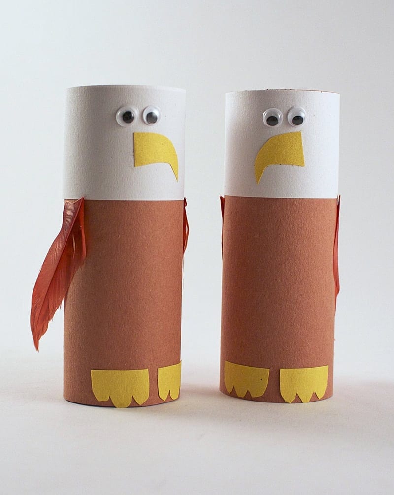 cardboard tube bald eagle