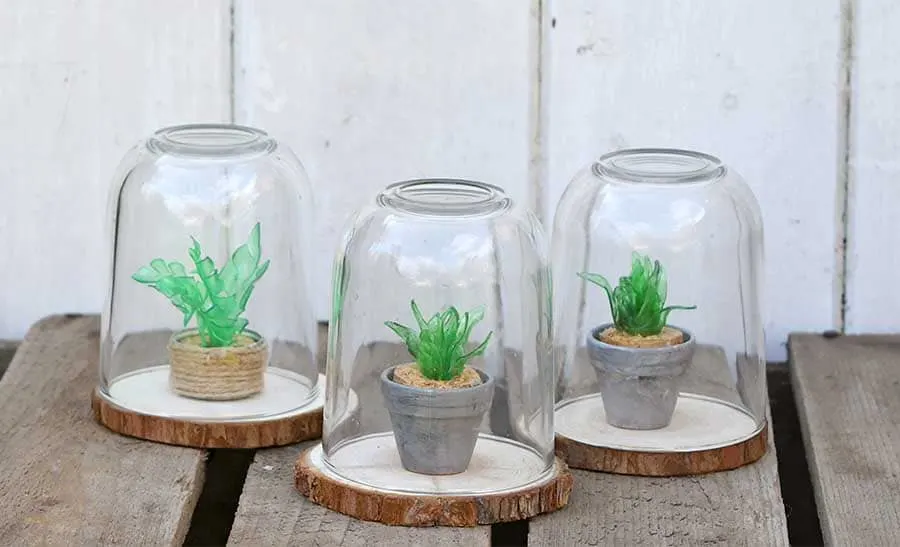 mini faux succulent terrariums