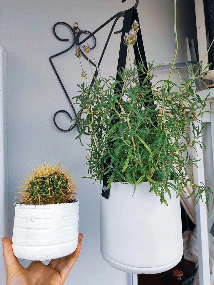 plant pots made from cleaning supply plastic bottles