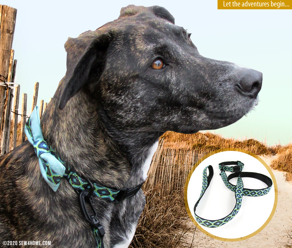 diy dog collar and leash using ribbon