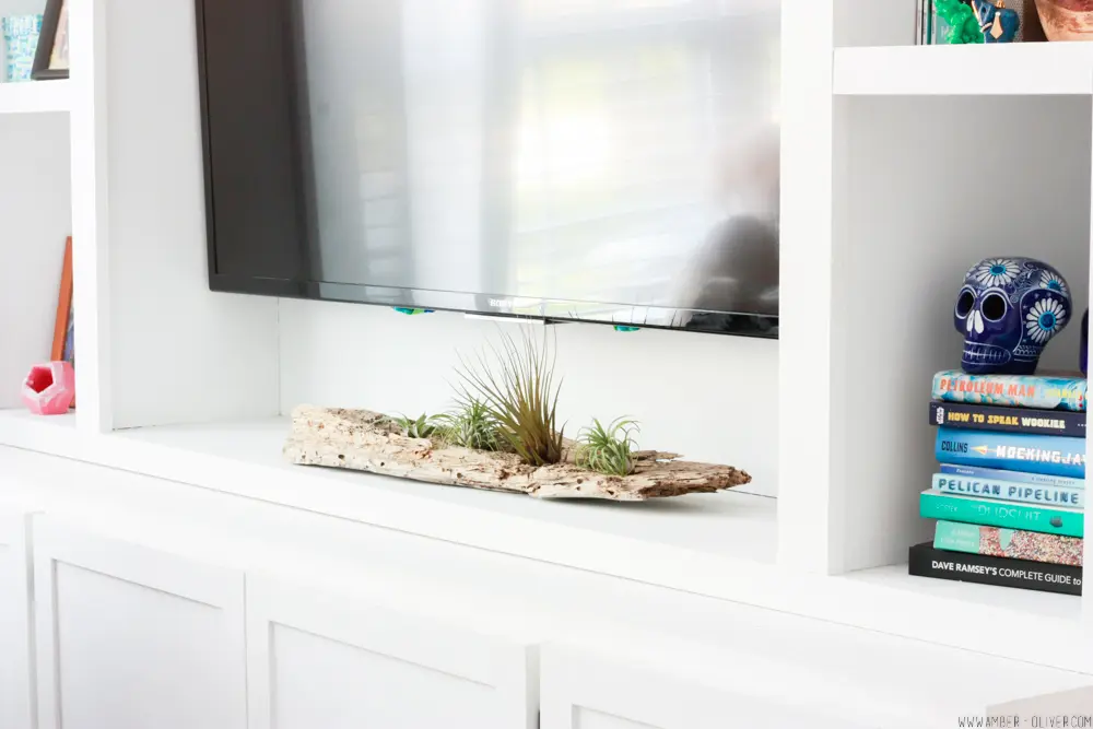 diy driftwood air plant holder