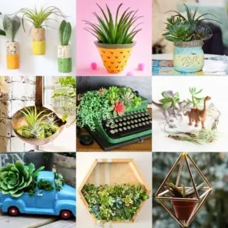 ways to display succulents - DIY planters