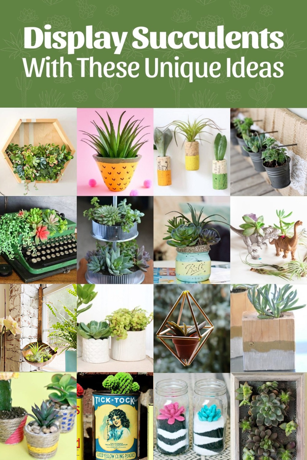 ways to display succulents - DIY planters