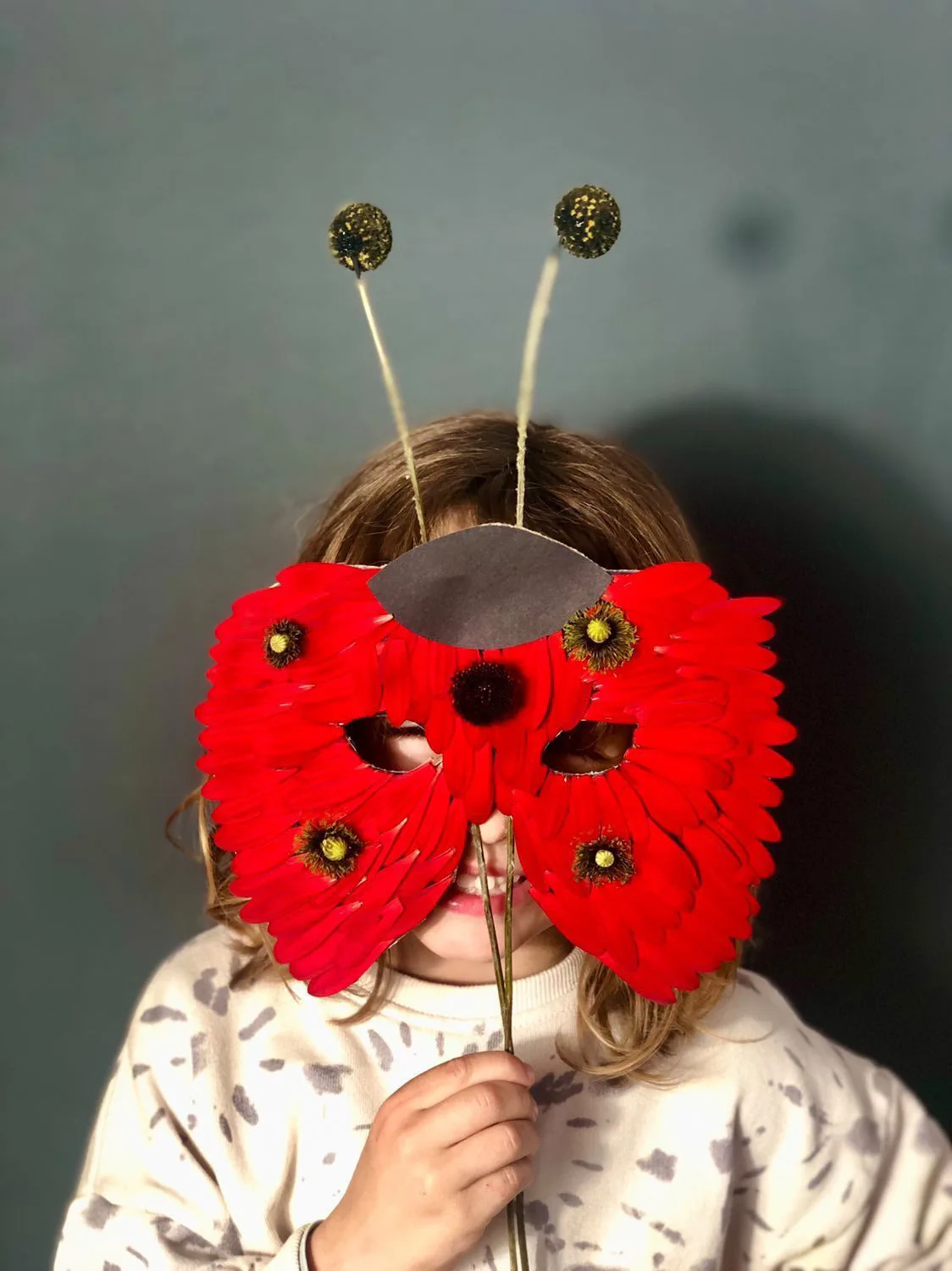 ladybug mask using nature items