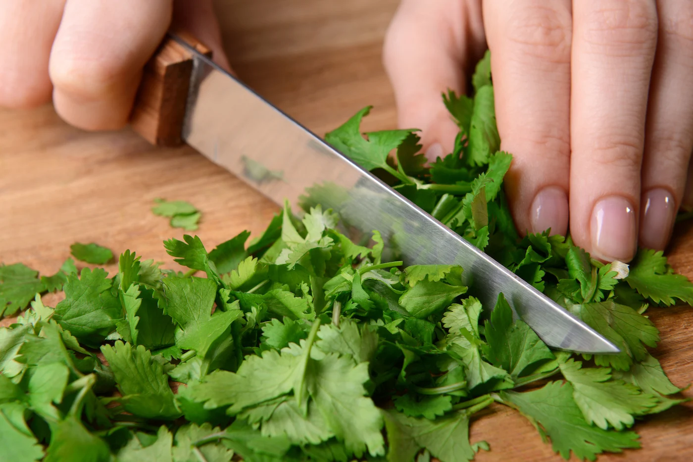 Cutting-cilantro-with-a-knife