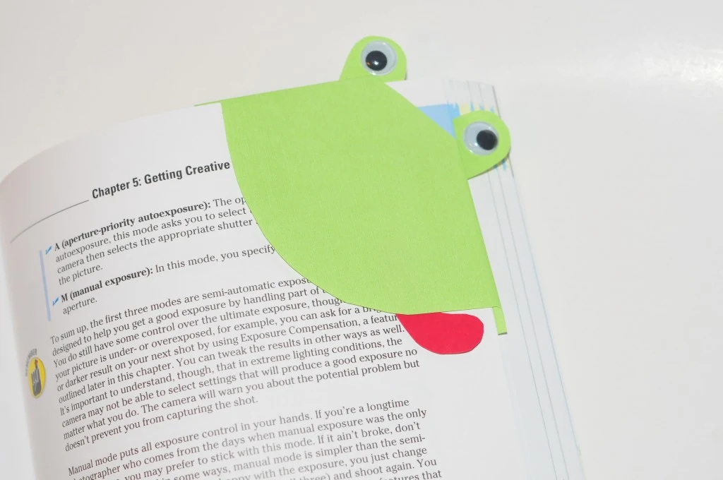 frog bookmark fathers day gift