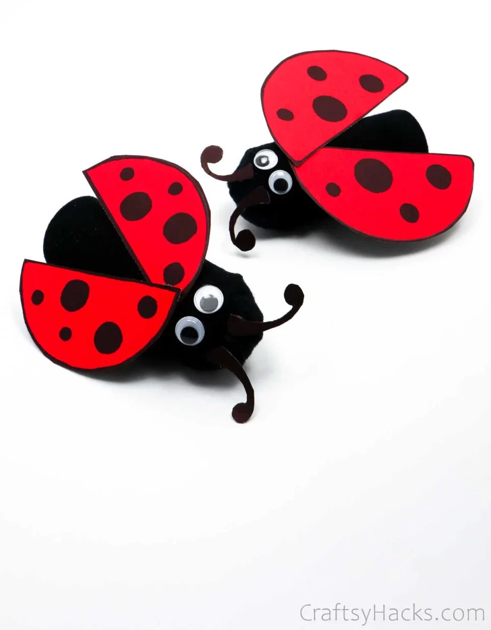 ladybug craft using toilet paper roll and sock