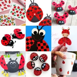 ladybug crafts kids will love