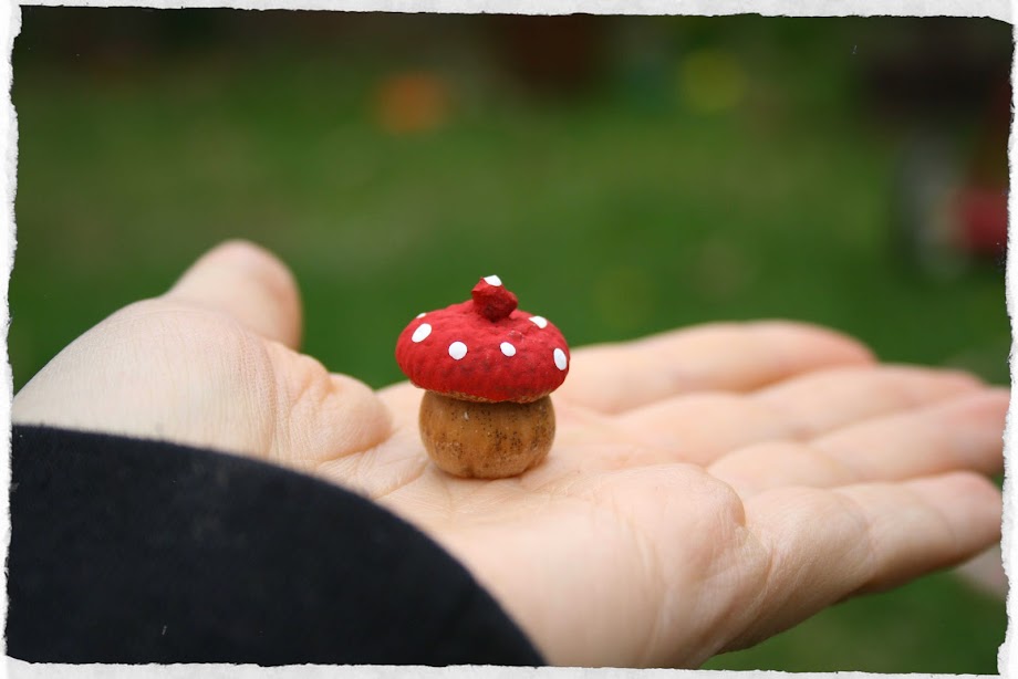 Acorn Toadstools