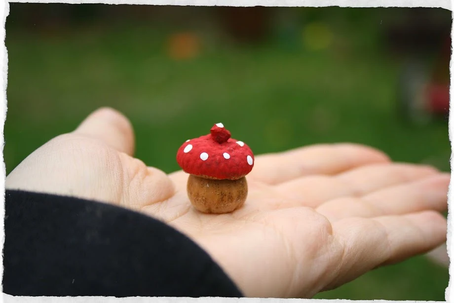 Acorn Toadstools