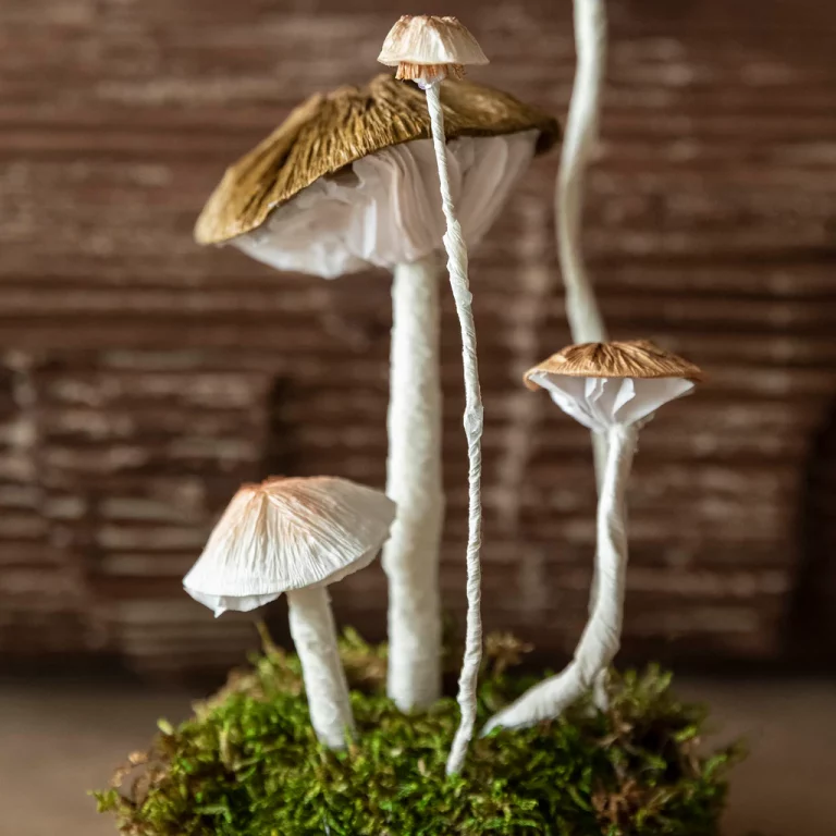 How To Make Crepe Paper Mushrooms