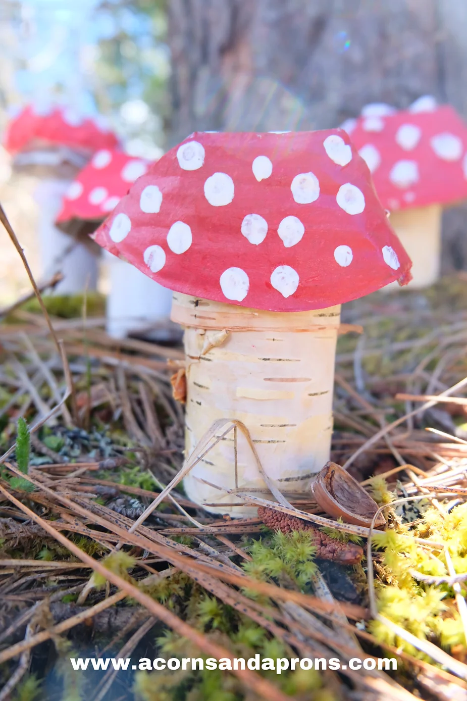 Recycled Mushroom Craft