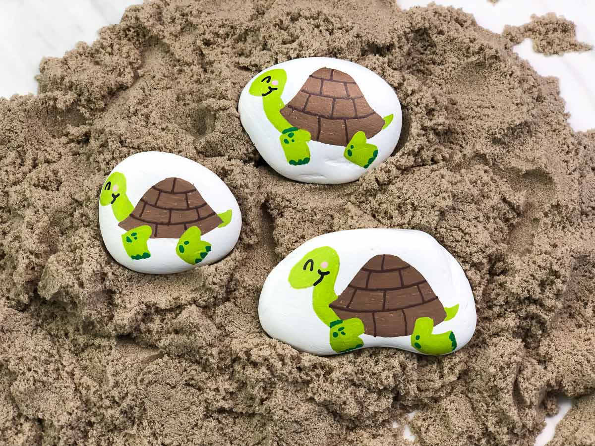 turtle painted rock for kids