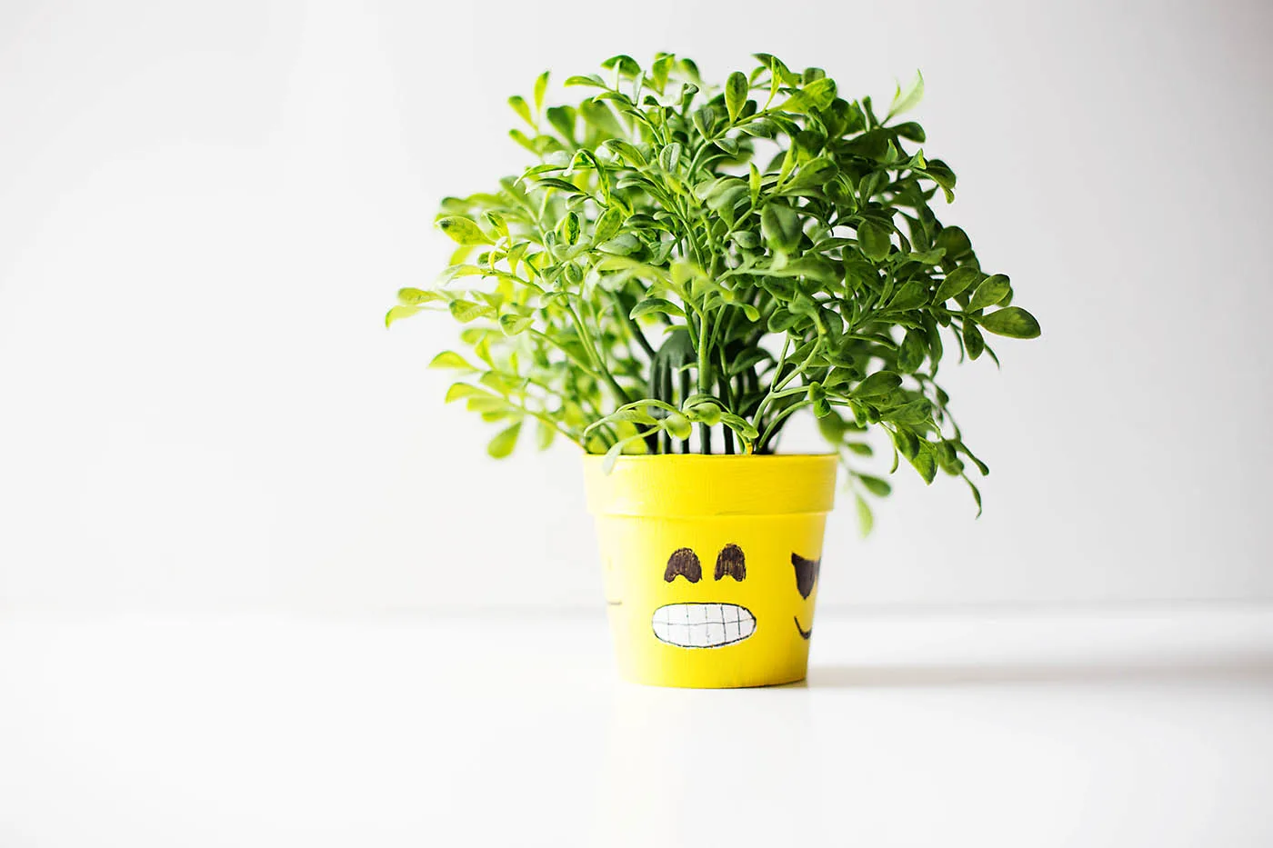 DIY Emoji Flower Pot - How Are You Feeling Today?