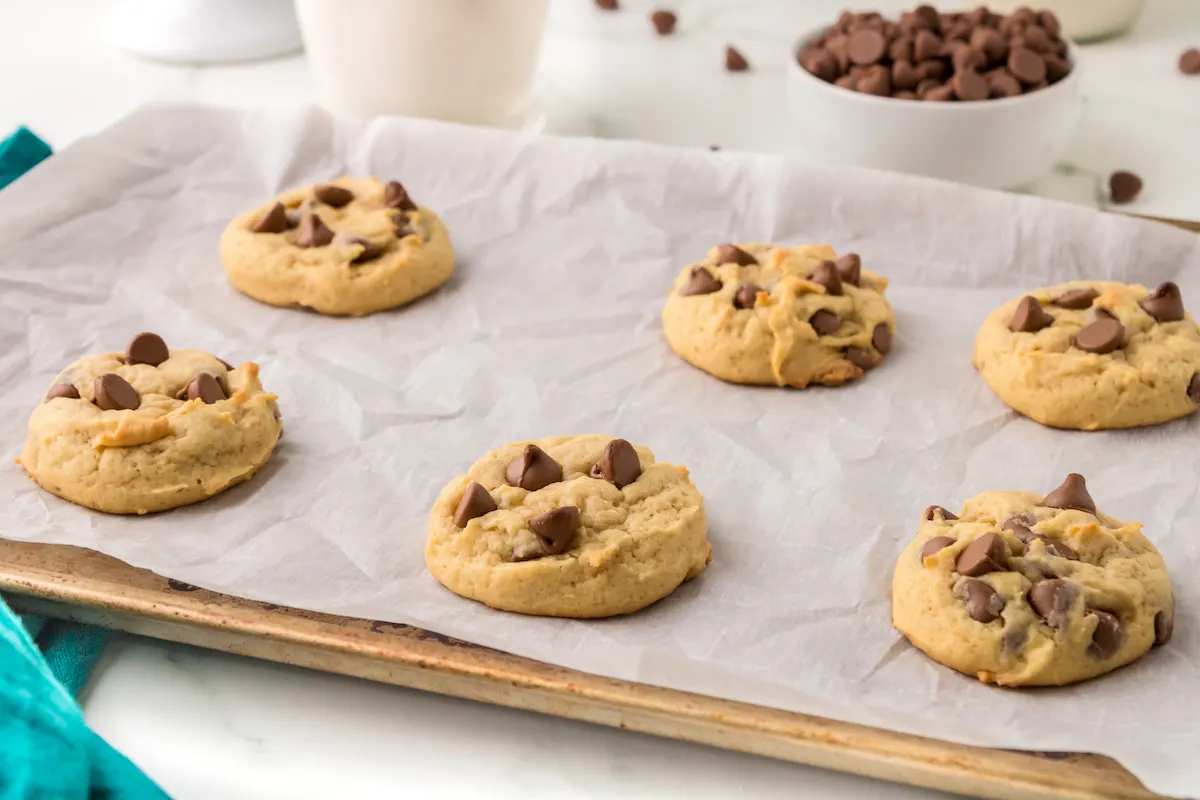 Pudding cookies with chocolate chips baked on a cookie sheet