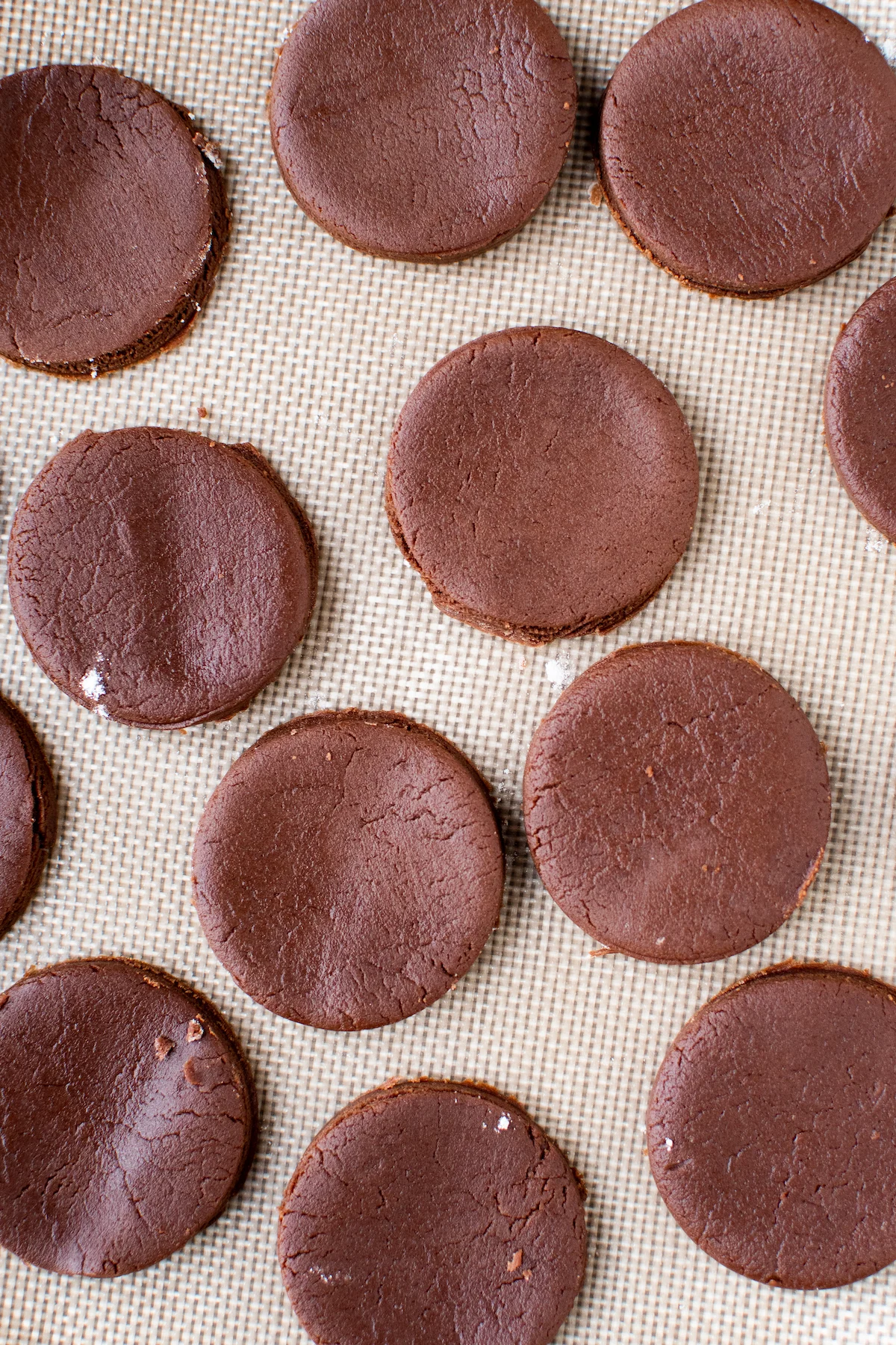 Two inch round cookies cut out of dough