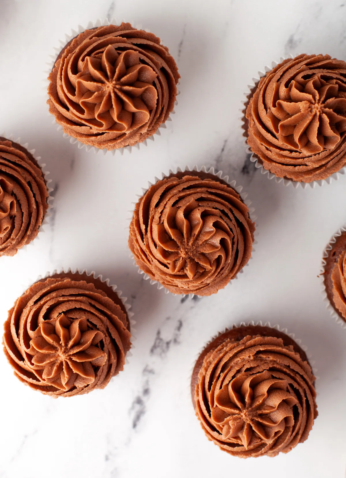 chocolate cupcakes with chocolate icing