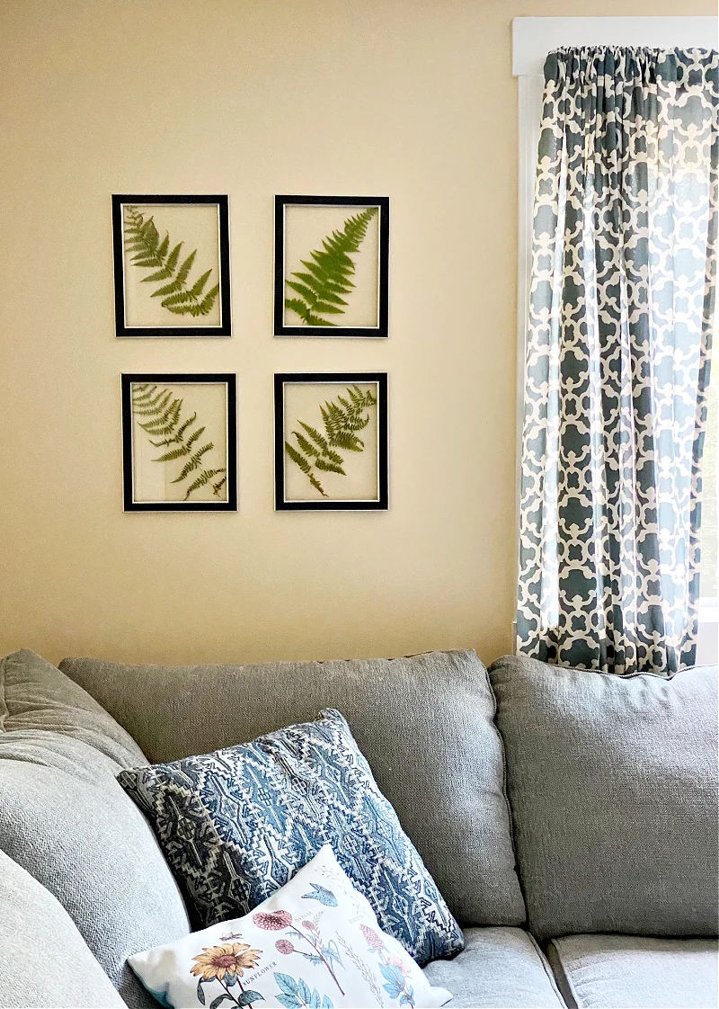 Learn How To Make Super Cool DIY Pressed Fern Wall Art