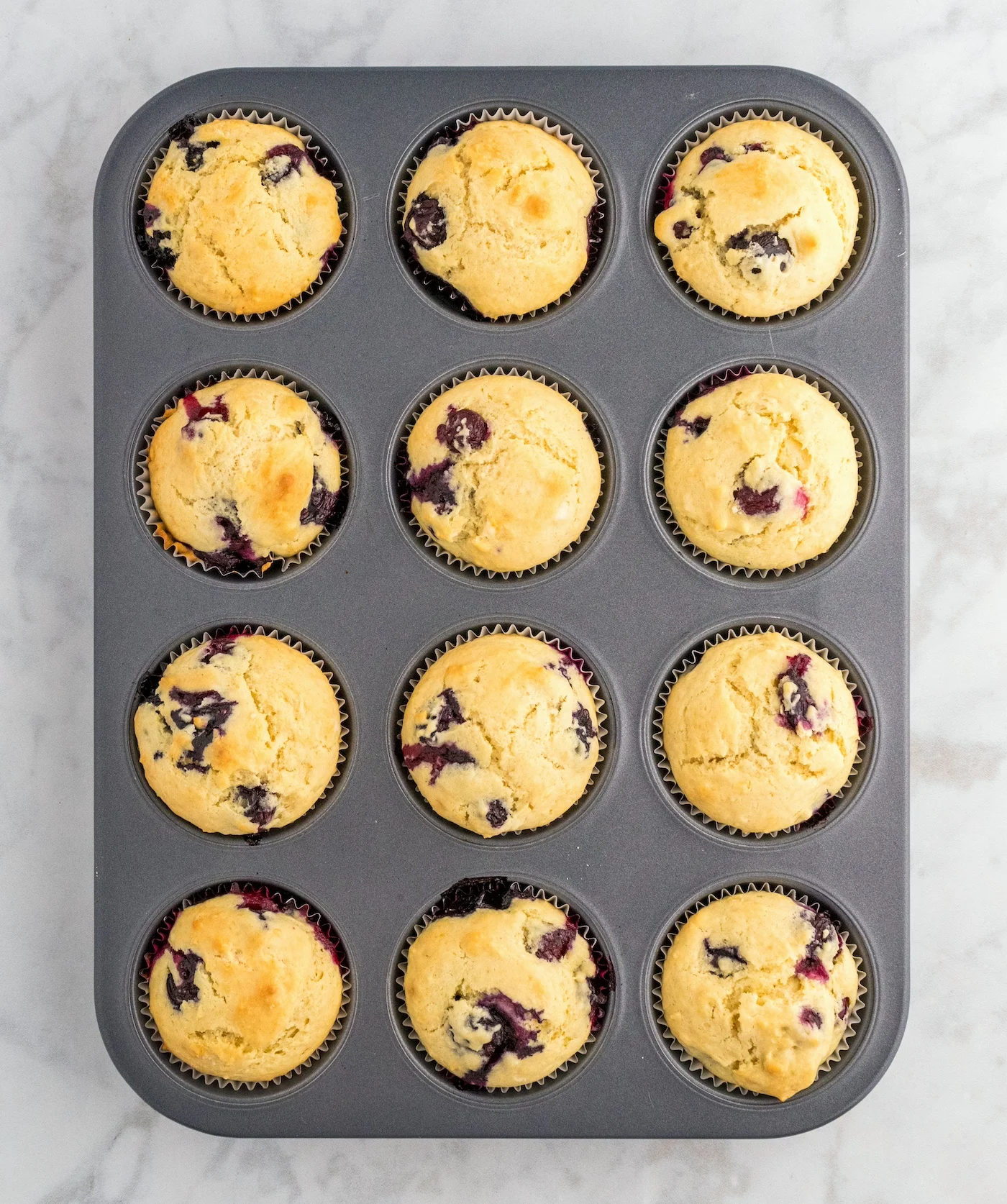 Lemon blueberry muffins baked in a pan