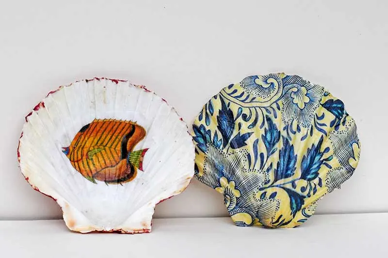 decoupage shells using images printed on tissue paper