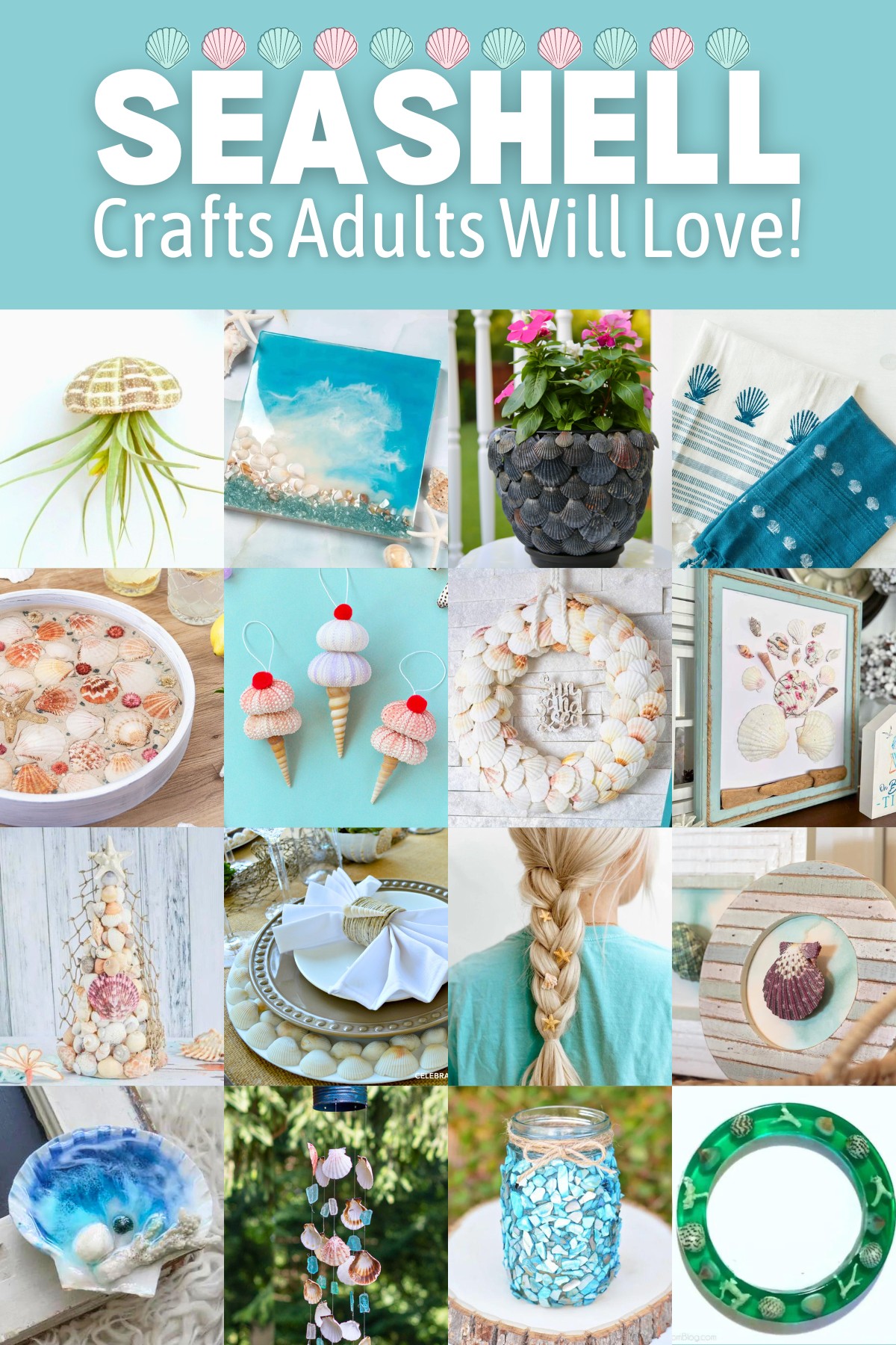 seashell crafts adults will love