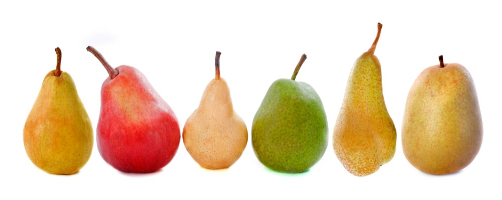 what variety of pear should you use in your desserts?