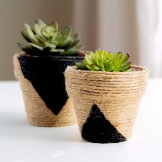 diy mini plant pots