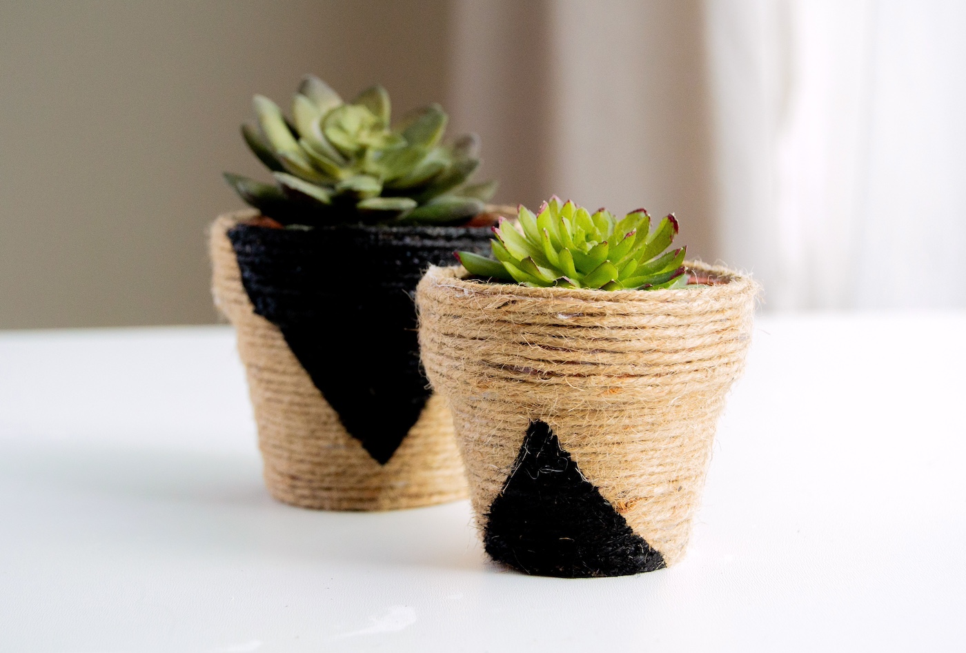 diy mini plant pots
