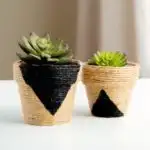 diy small planters