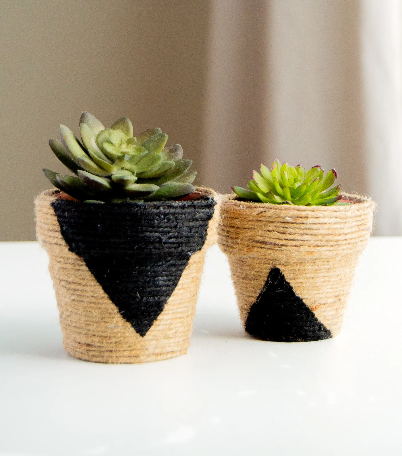 diy small planters