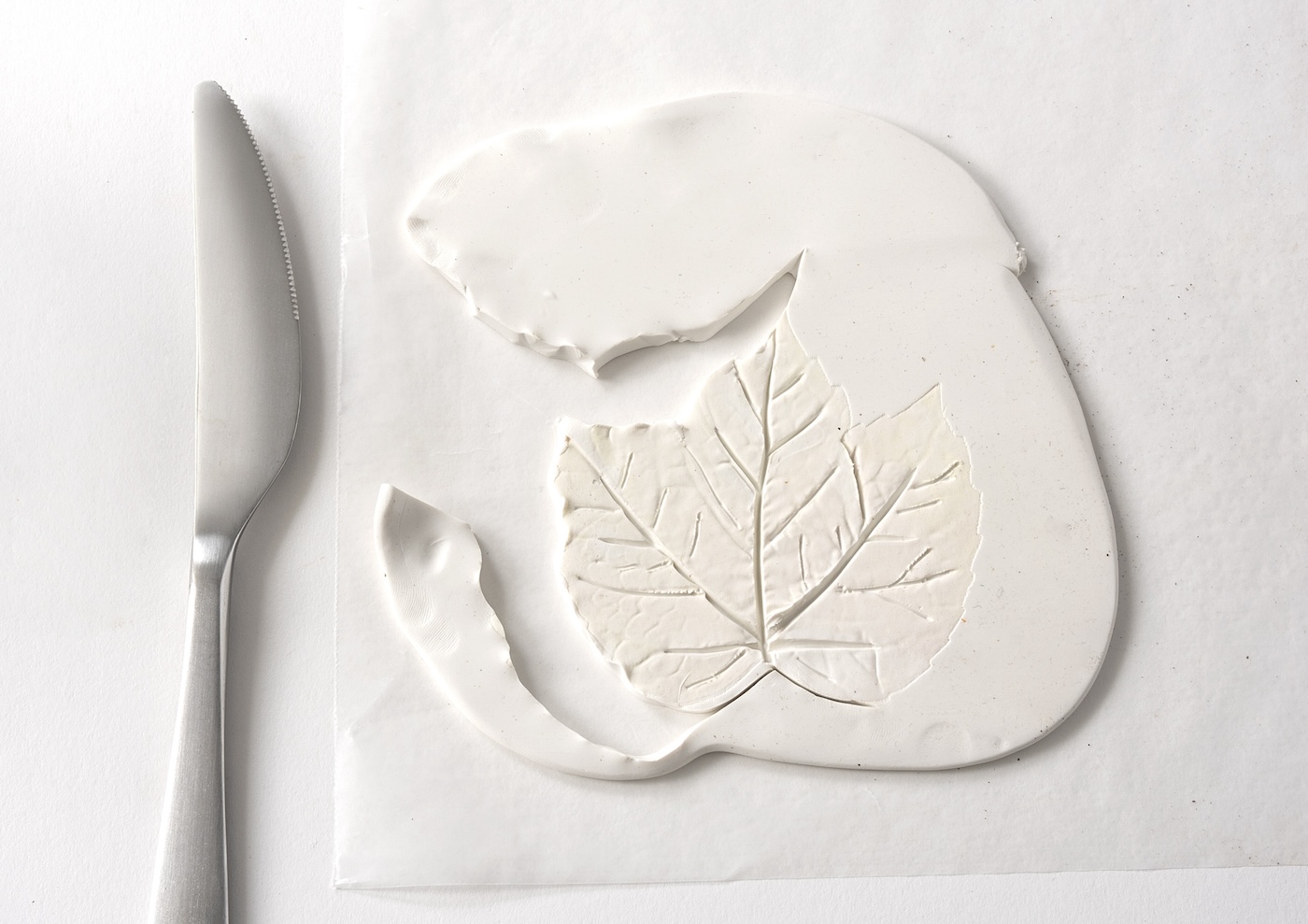 Cut around the leaf shape using the knife