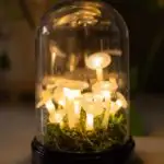 diy hot glue mushrooms terrarium