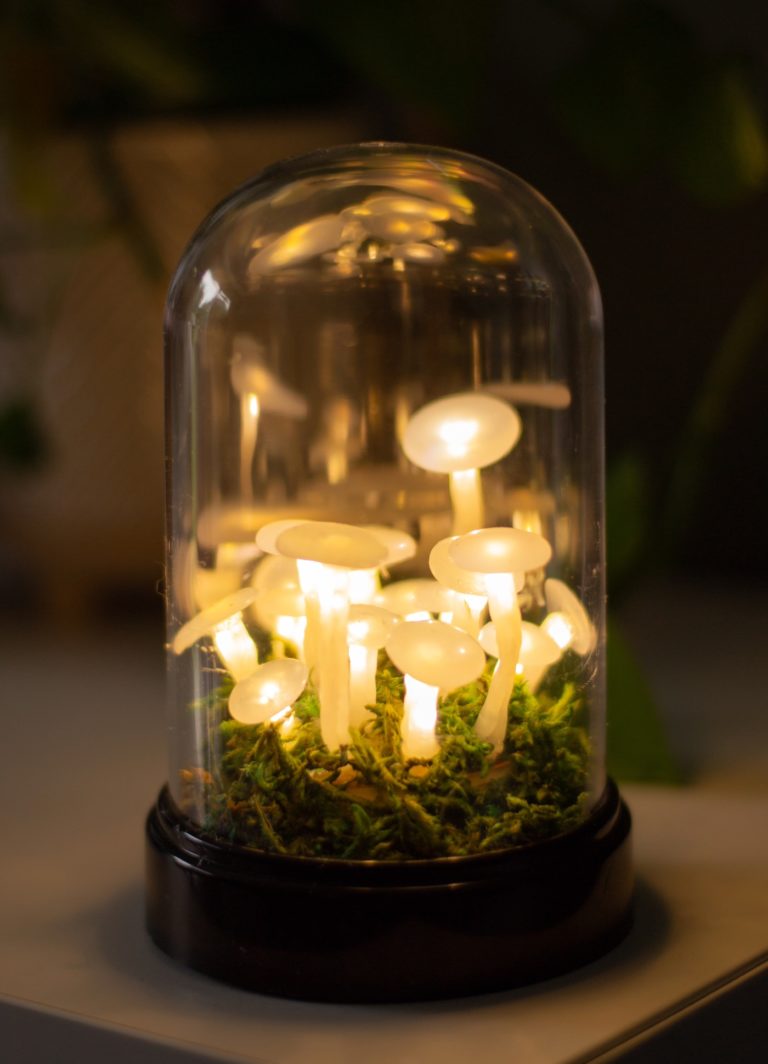 diy hot glue mushrooms terrarium