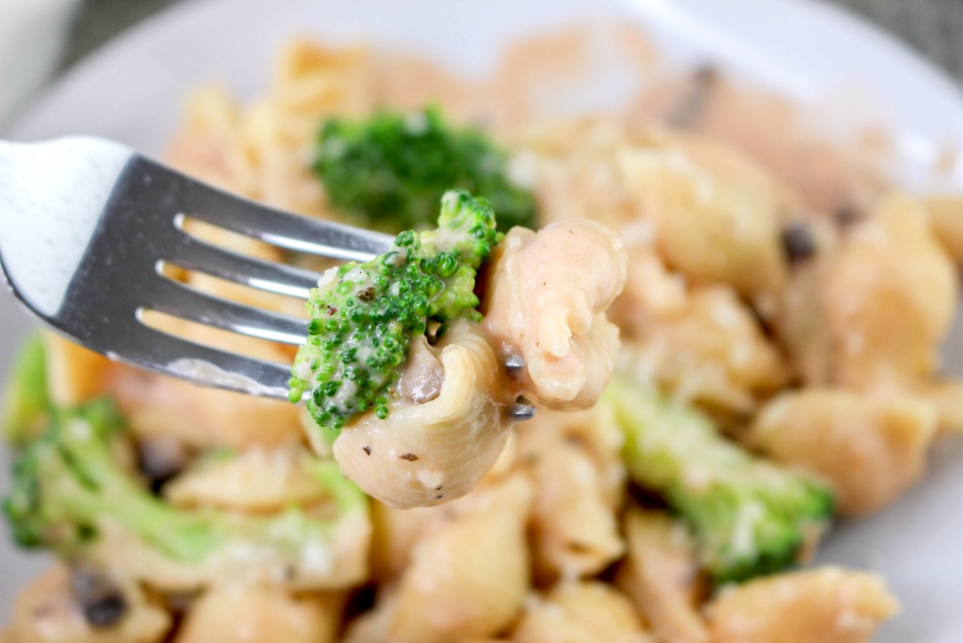 recipe for pasta con broccoli