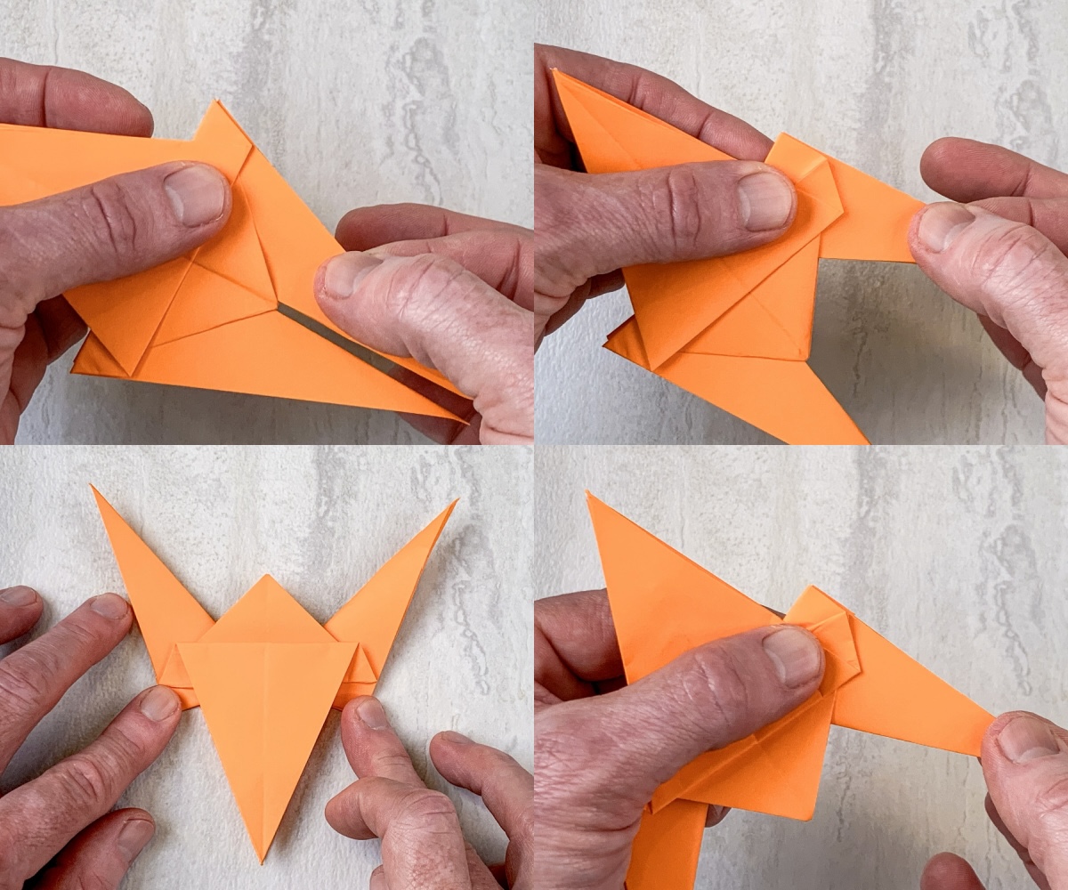 Pull out a wing slightly and fold down then repeat on the other side
