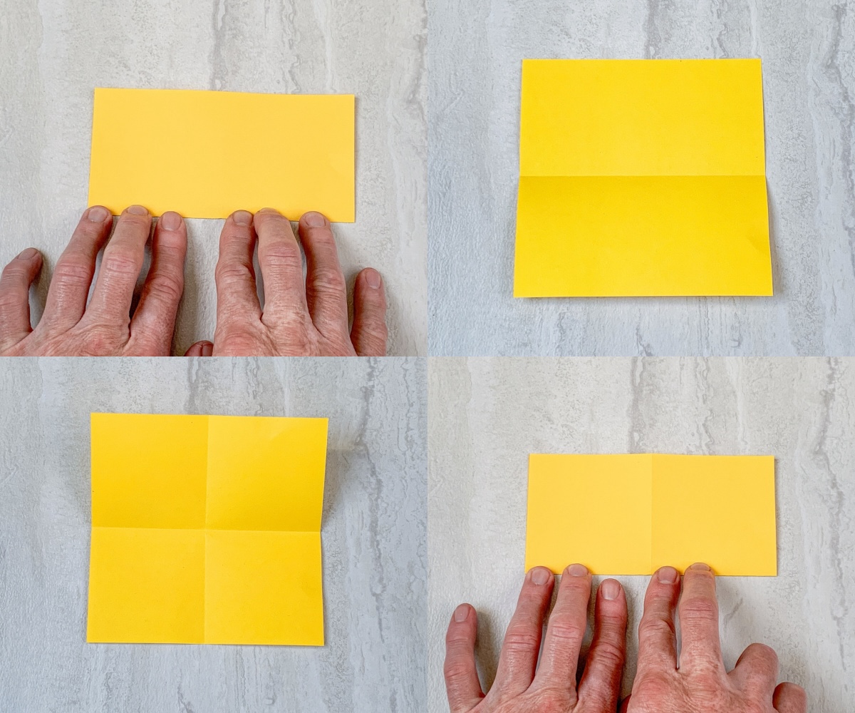 fold in half, turn and fold in half