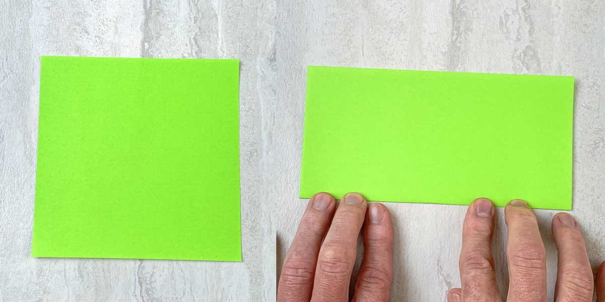 Folding a square green piece of paper in half to create a rectangle