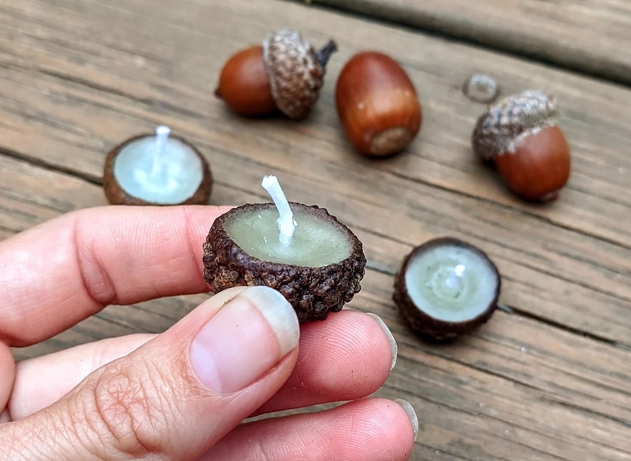 acorn cap candles