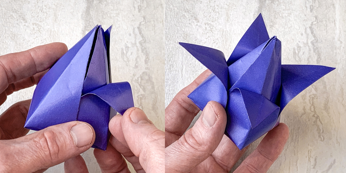 peel back the flaps on the top of the shape to create petals
