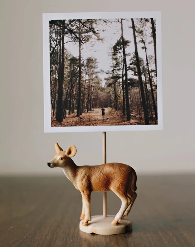 diy deer photo stand