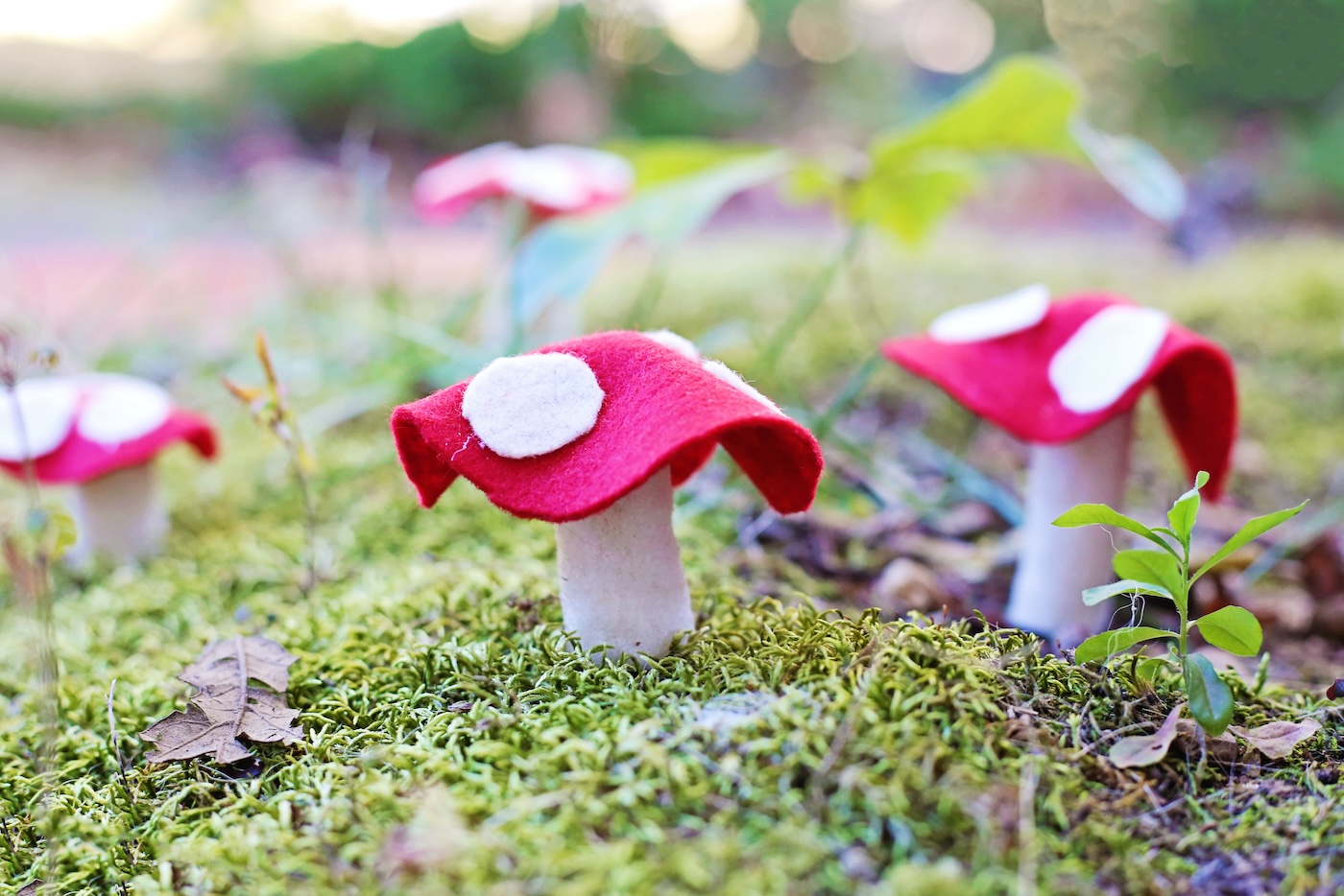 felt mushrooms in grass