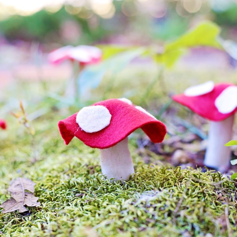 no sew felt mushrooms